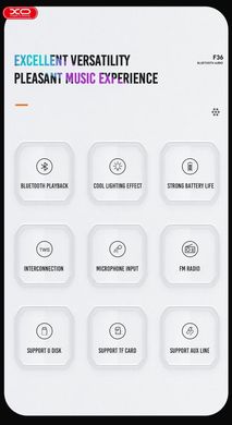 Портативная беспроводная Bluetooth колонка XO F36 |BT5.0, 10W, 2400mAh| Black